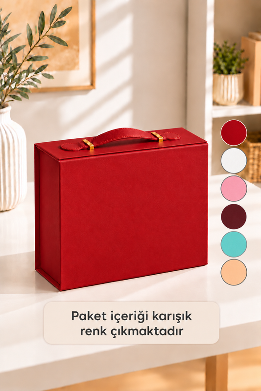 Hediyelik Karton Kutu Kulplu 24*18.2 CM 46299*48* TUTKU-3884